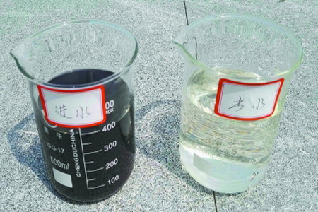 污水处理前后的对比,左边是进入新水质净化中心的污水,右边是经过处理