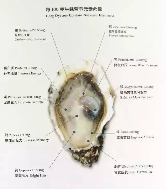 【品味西方】在法国,只有带r的月份适合吃生蚝,现在就开始了!
