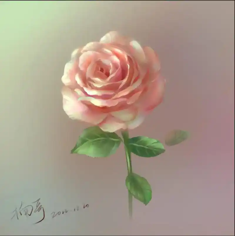 板绘玫瑰完工啦