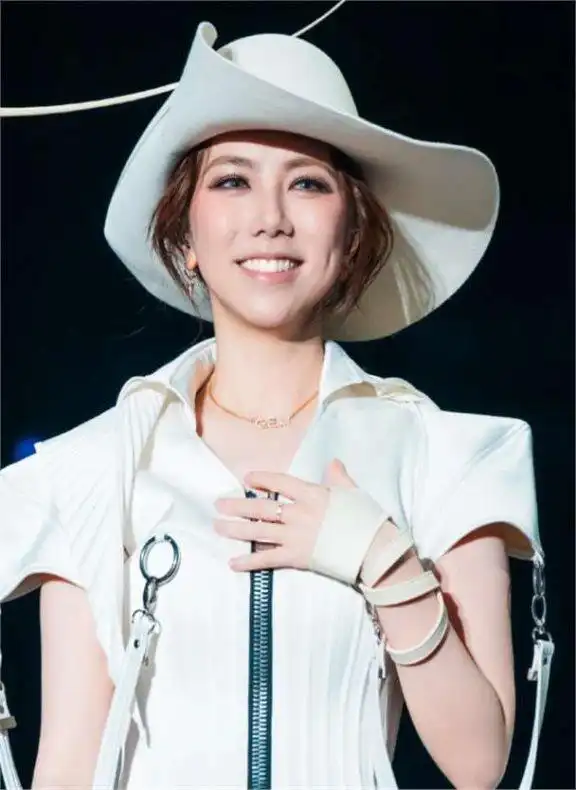 邓紫棋的成名路!和张杰林宥嘉没关系,韩磊早就预料到了