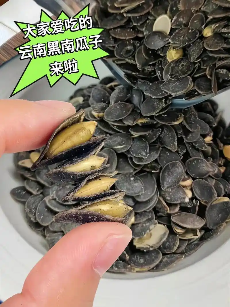大家都爱吃的云南黑南瓜子来啦!