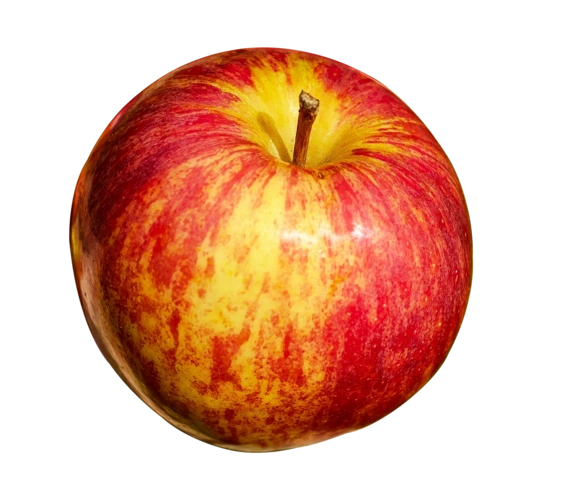新鲜的红黄相间的苹果图片