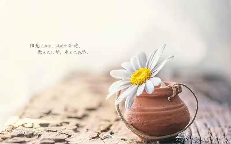 早安心语正能量激励句子图片