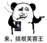 来,搞根芙蓉王(熊猫头发烟表情包)_搞根_芙蓉王_熊猫_头发表情