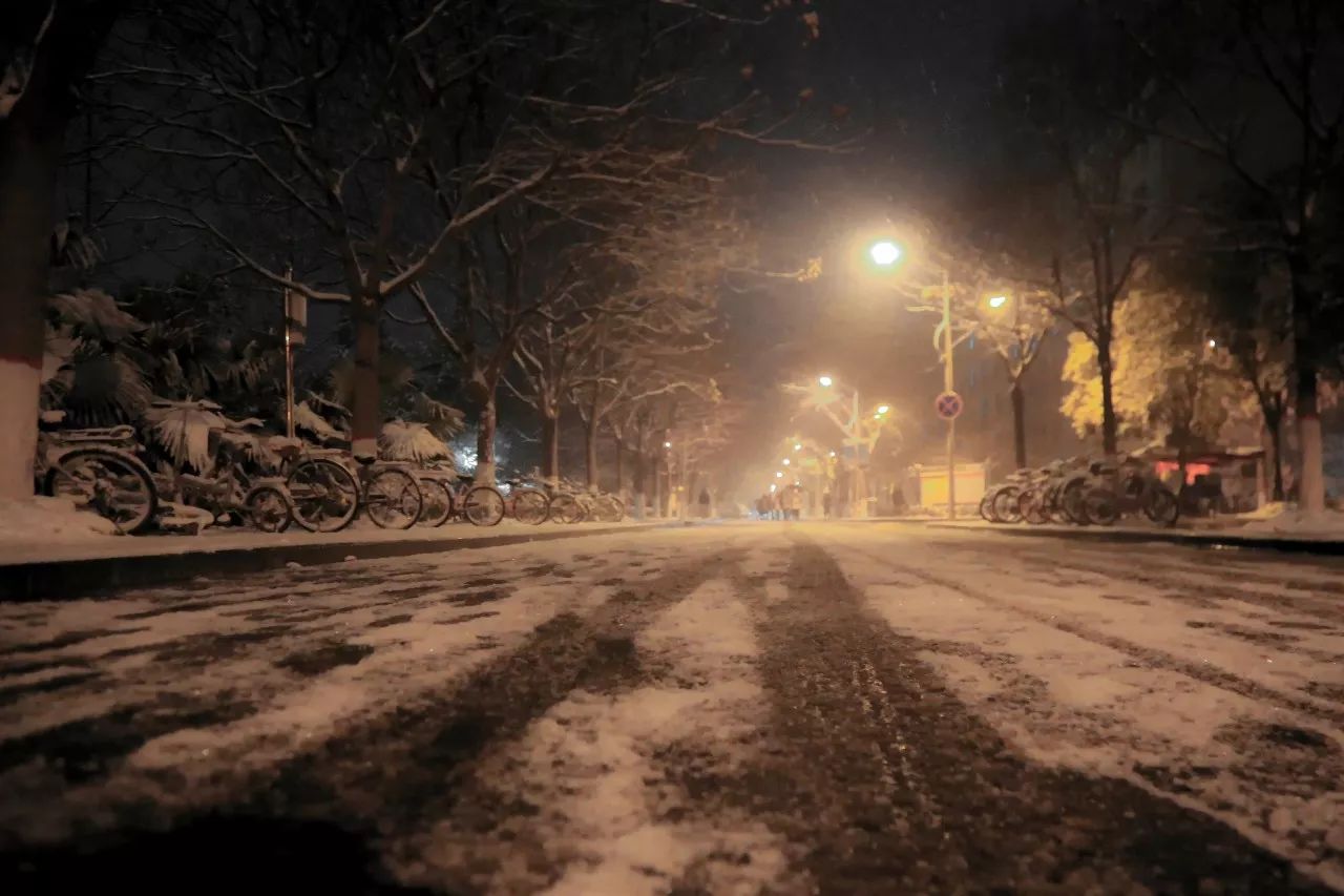 忆雪那是冬天的无声告白