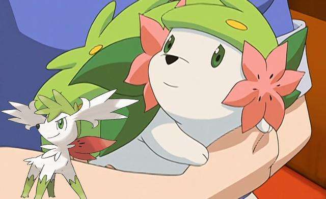 洁咪是一只白色的刺猬,它拥有天空形态和陆上形态.