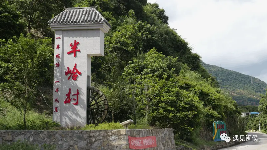 田园风丨一半成岭,一半成景,闽侯的这个村正在上演"变形记"