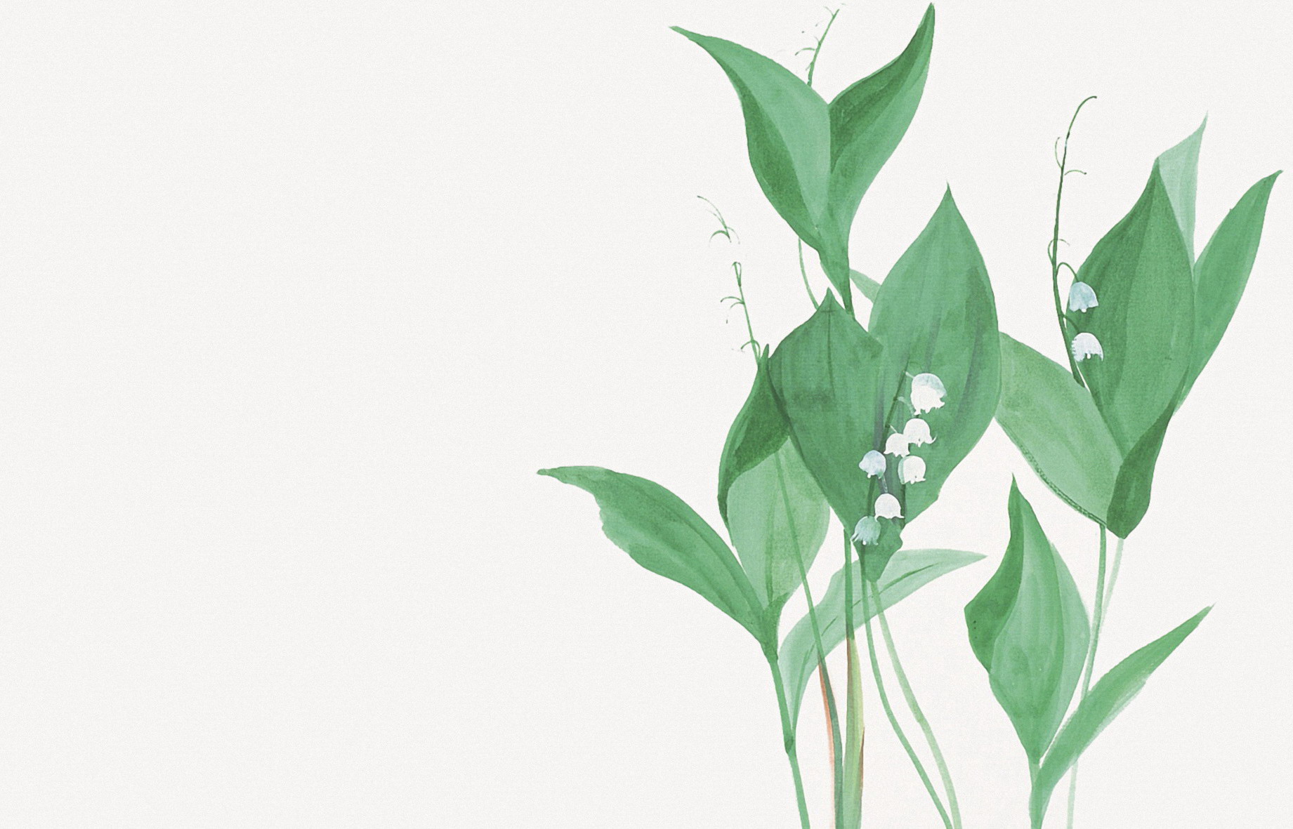 两张清新水彩植物绿叶ppt背景图片