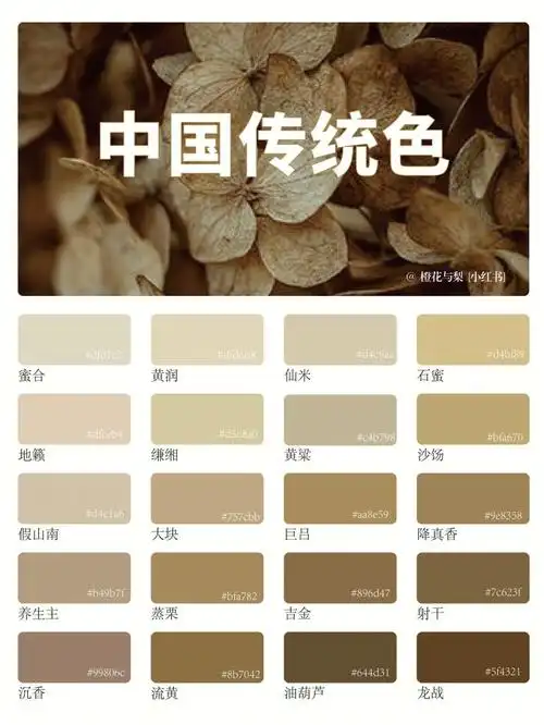 中国传统色棕色系一