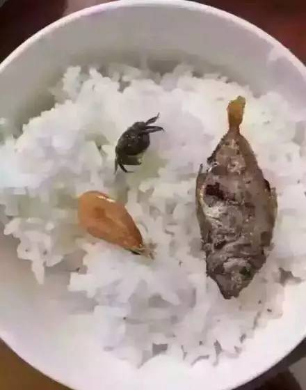 用一句话证明自己很穷,感觉每个都戳中了我