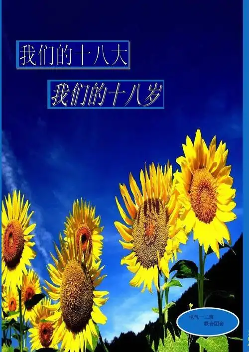 我们的十八大,我们的十八岁