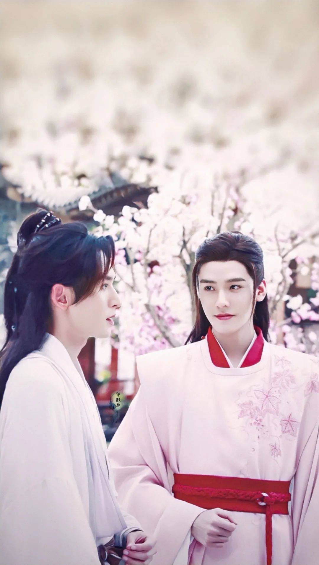 一大波山河令壁纸更新啦_都追