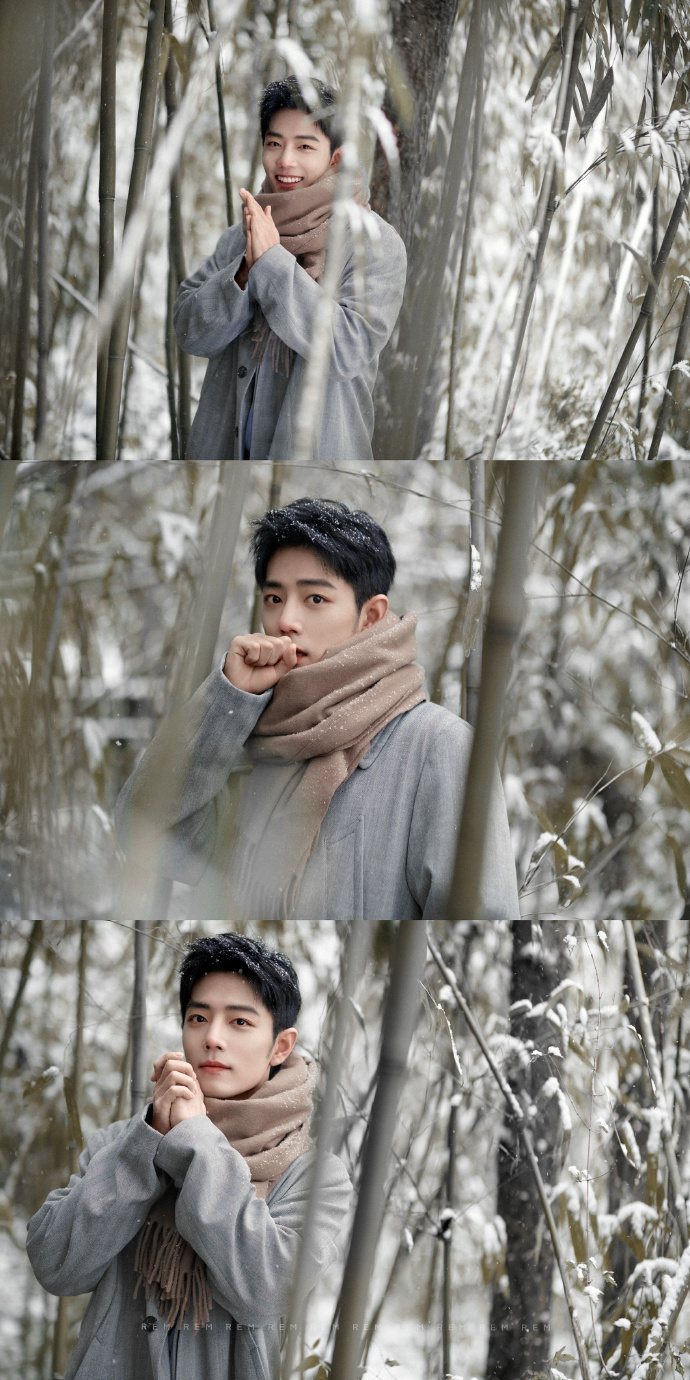 肖战冬至竹林大片