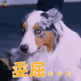 270_270gif 动态图 动图