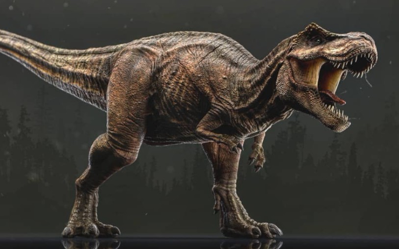 国外粉丝制作霸王龙vs暴虐龙霸王龙一口超龙