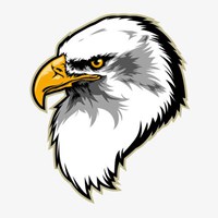 老鹰头像大全大图 飞翔老鹰图像_微信头像图片大全