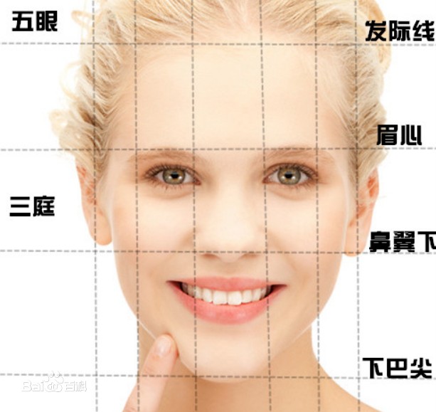 我这是什么脸型