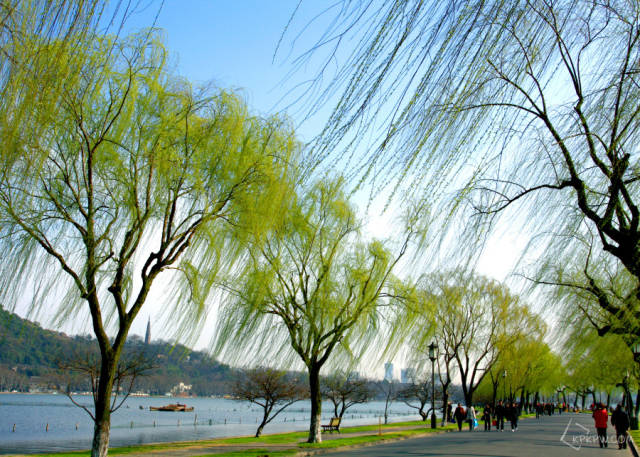 春天@你:来杭州最美的小众地寻找春天!