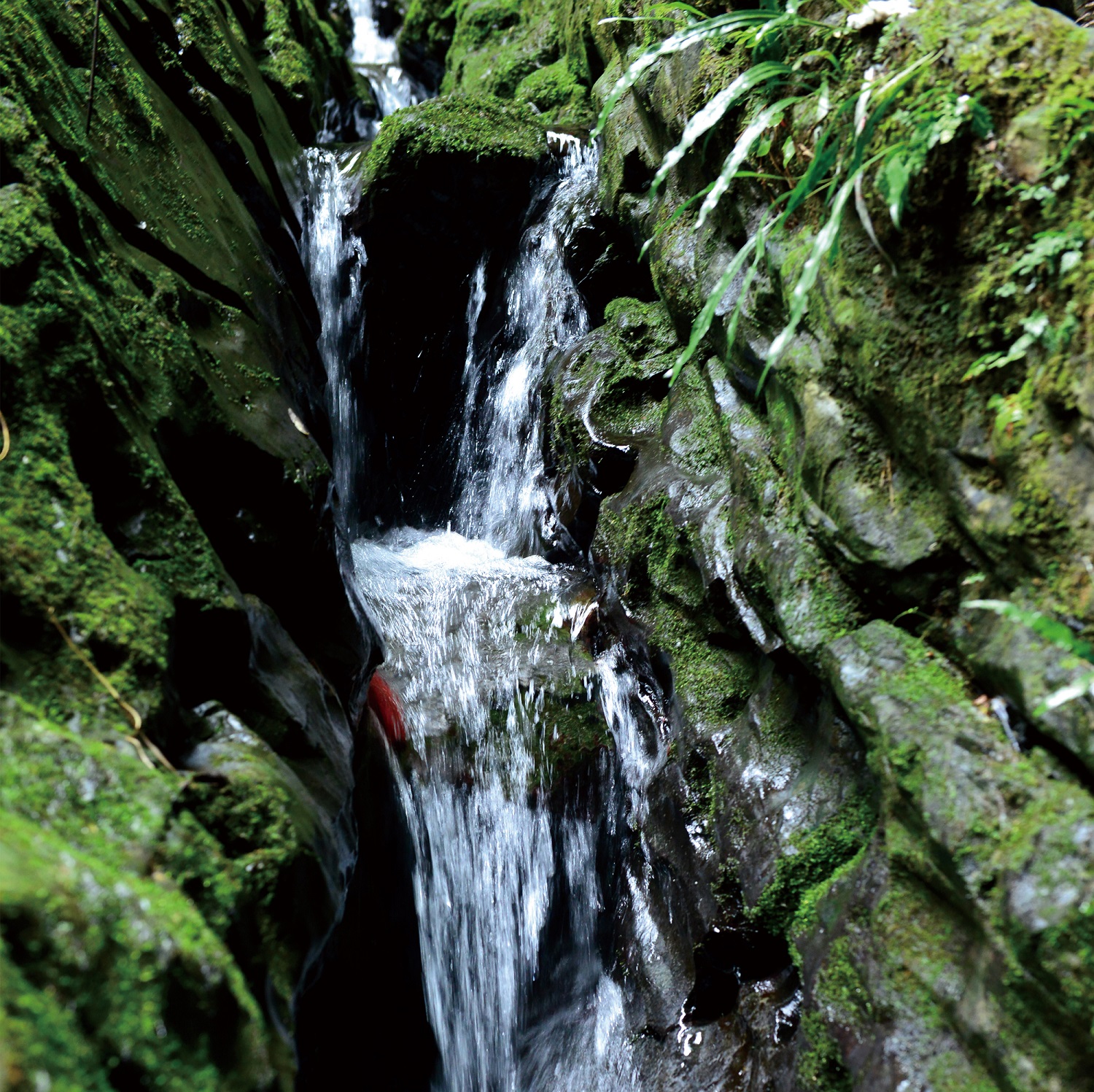 湖南十八洞村的山泉水已在无印良品门店正式上架
