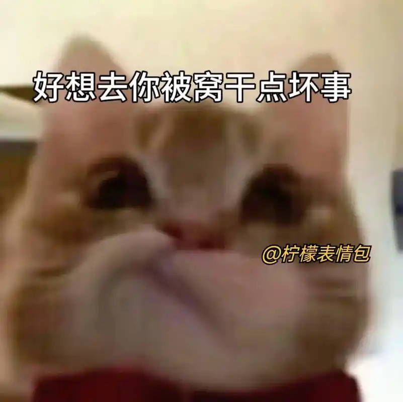 好想去你被窝里干坏事#歪嘴小猫表情包 #发给对象表情包 #表 - 抖音