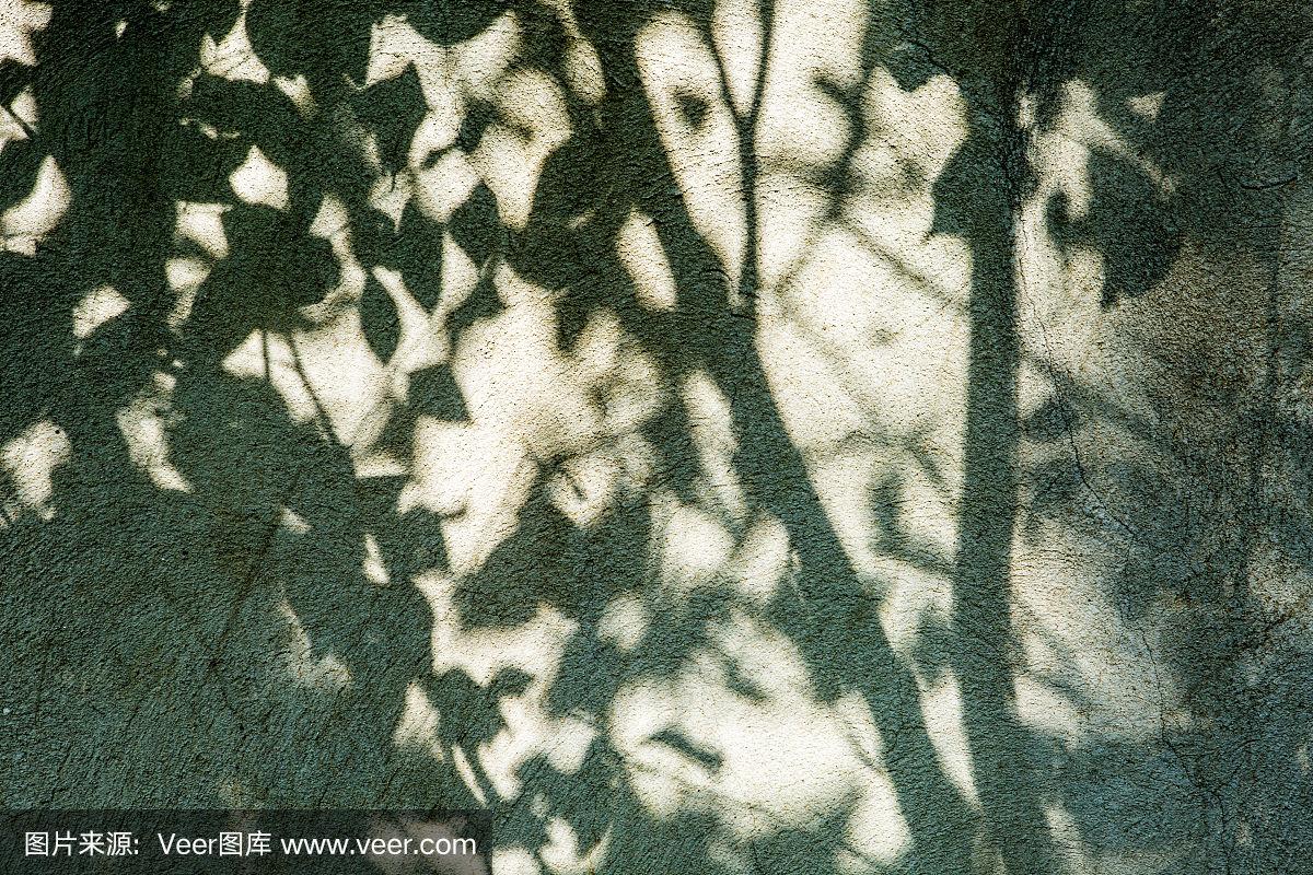 树叶的影子映在墙上