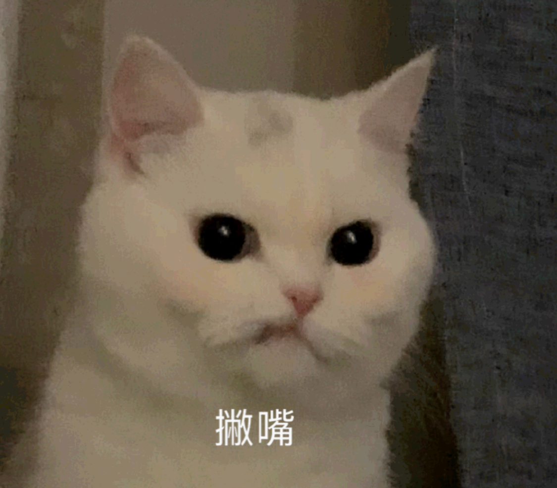 撇嘴撇嘴猫表情包