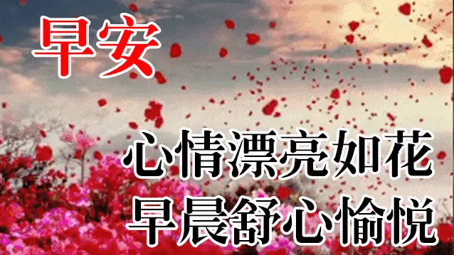11月29日最漂亮早上好动态表情图片大全