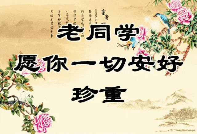 送给我的老同学!