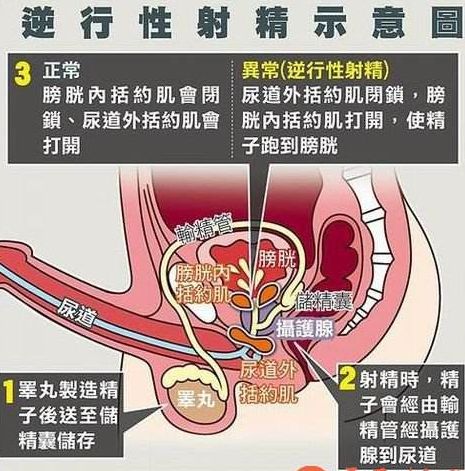 《晋中新东方男科医院》一次性生活持续多长时间算正常呢?