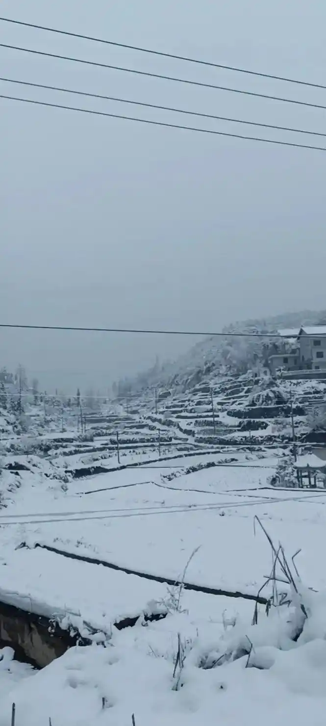 今天下着大雪,下乡驻村的我们,为了让百姓在这场突