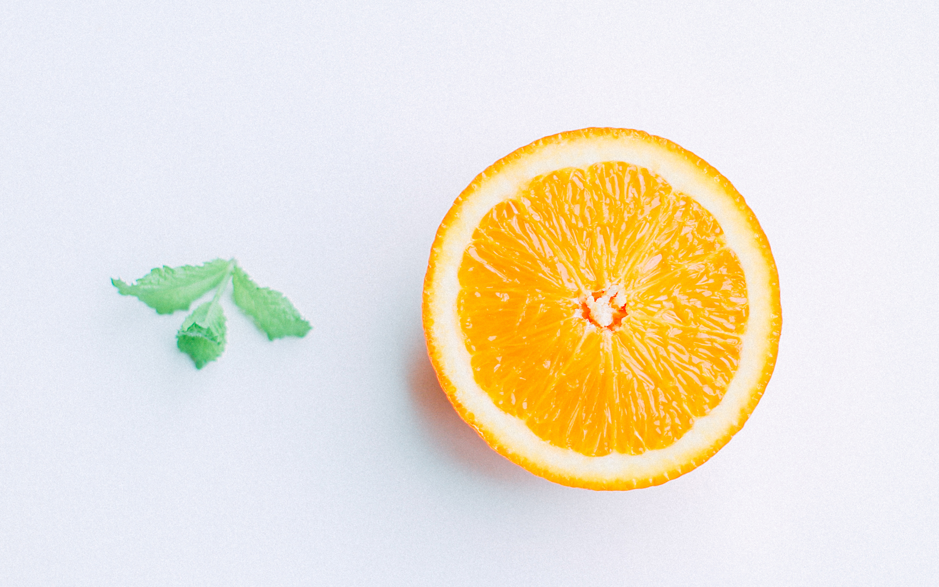 简约小清静物唯美意境图片桌面壁纸,有一种淡雅的白色色彩,带有清新的