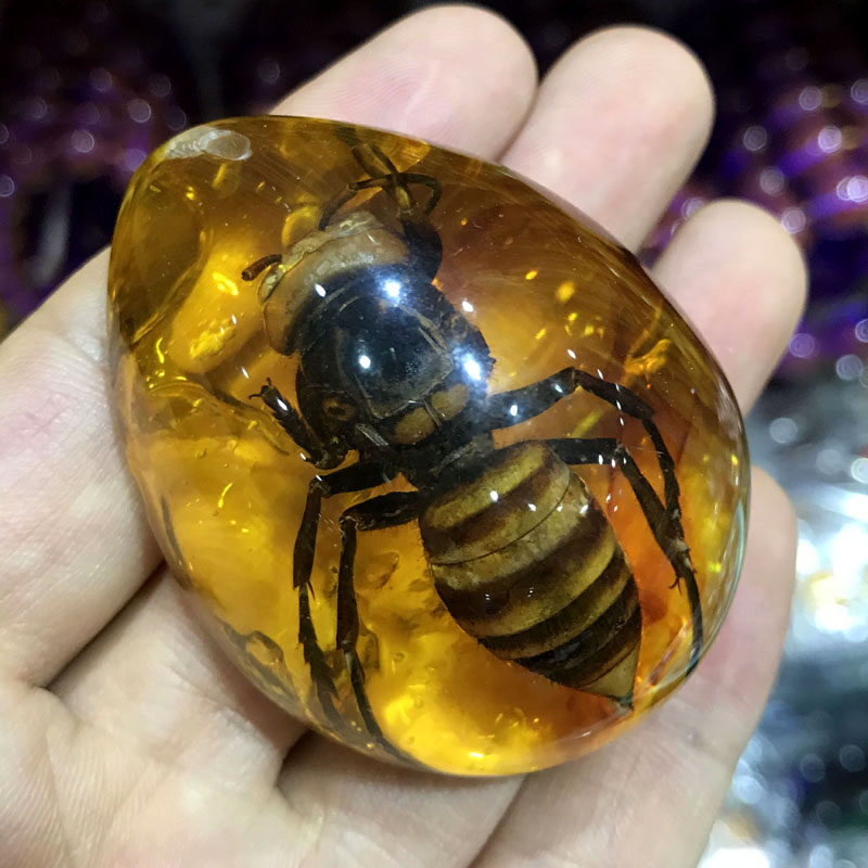 虫珀吊坠琥珀蜜蜂昆虫标本人工挂件颈饰男女款颈饰