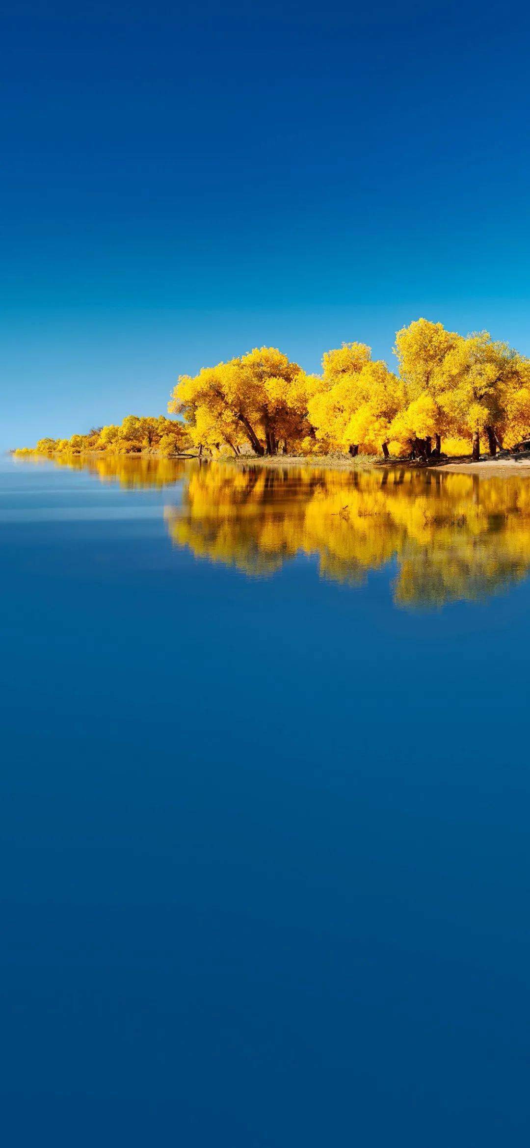 华为mate40系列内置壁纸高清下载