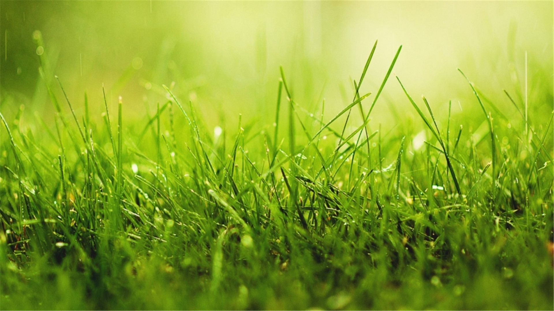 好看的桌面壁纸电脑桌面壁纸软件