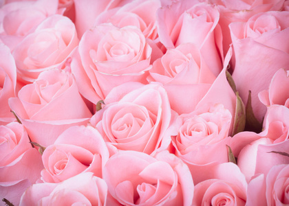 玫瑰花复古图片