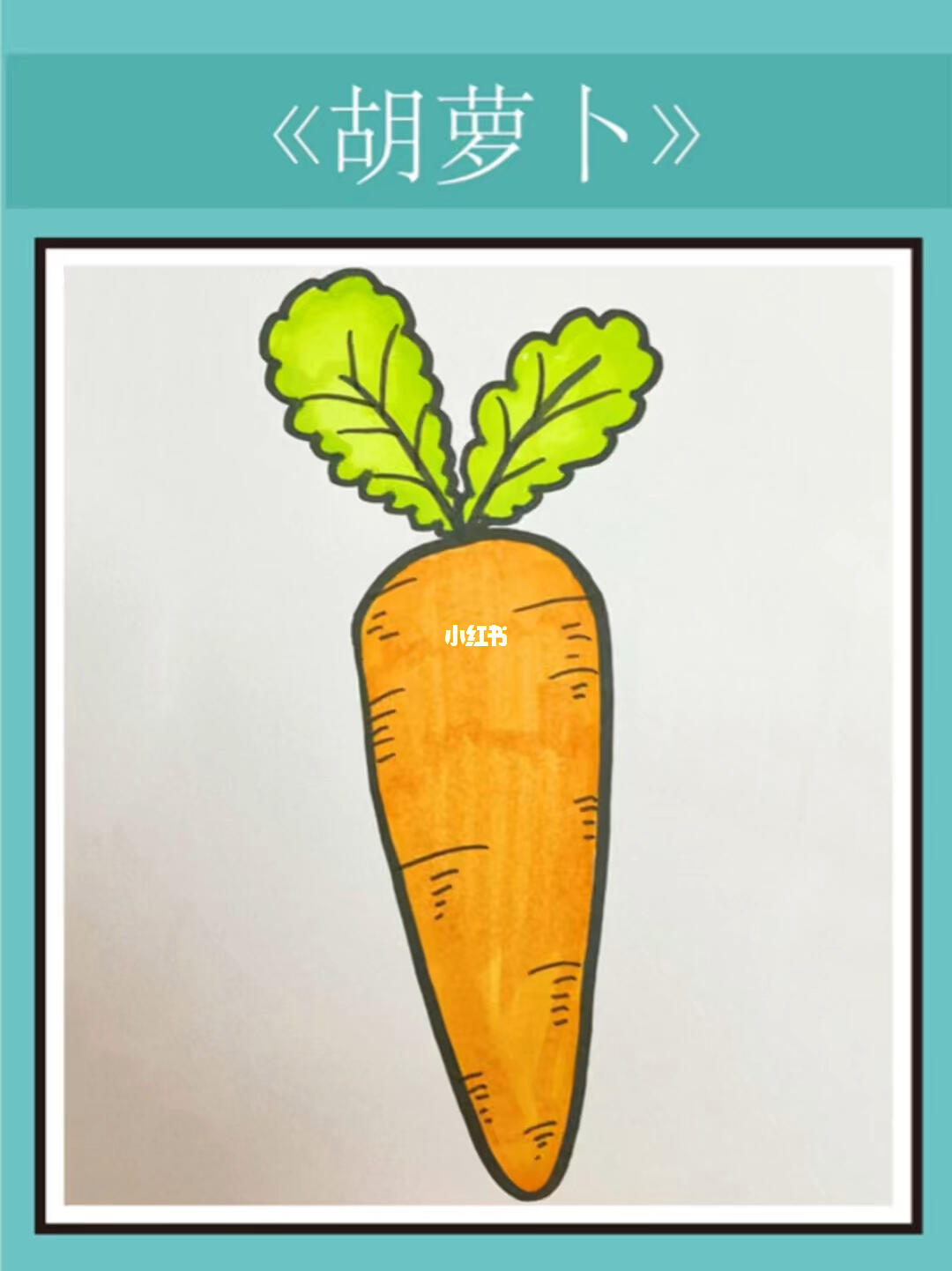 胡萝卜简笔画教程