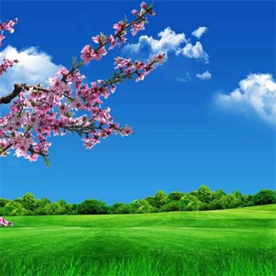 适合做头像的风景图片优美超唯美治愈的最新风景高清头像大全