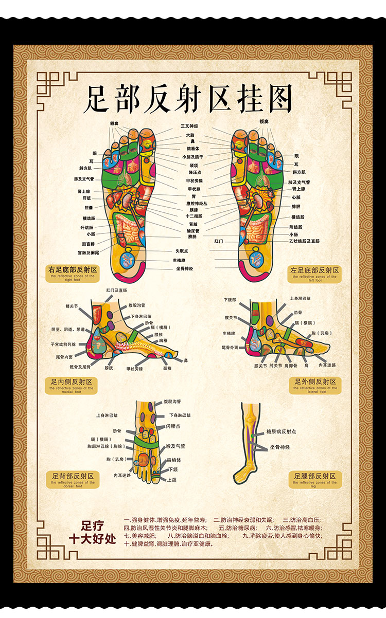 人体足底按摩穴位图足部反射区挂图片足疗脚底中医养生美容院海报横版