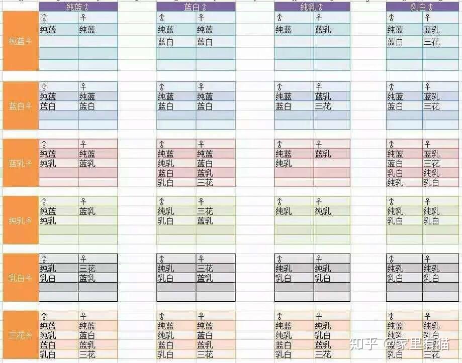 英短繁育配色表