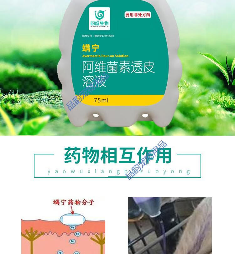 回盛生物 螨宁阿维素菌透皮溶液兽用猪牛羊螨虫体内外驱虫药兽药 75ml