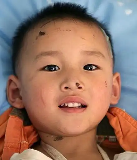 快乐的大饼的相册comeon