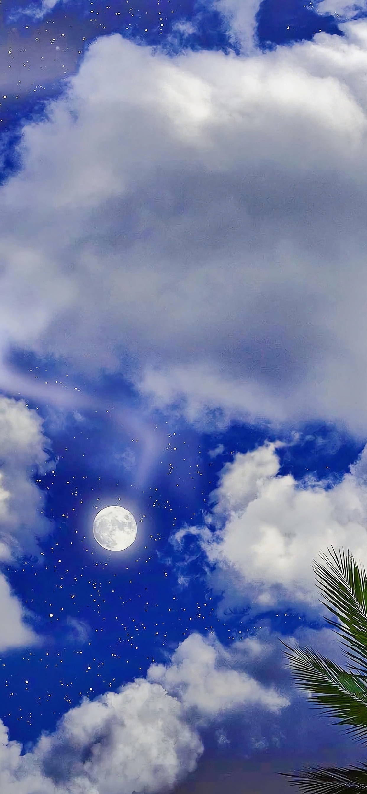 唯美夜色风景图片高清手机壁纸