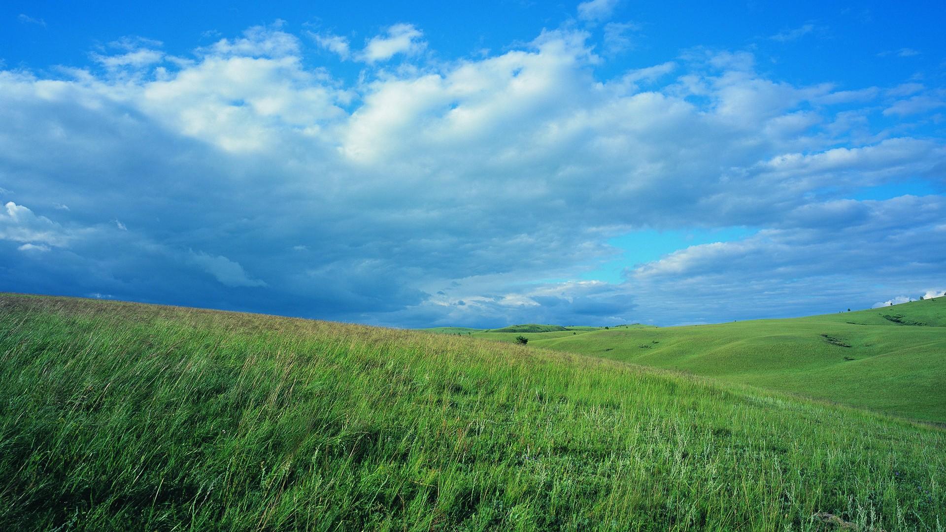 夏日广阔的草原风光高清桌面壁纸