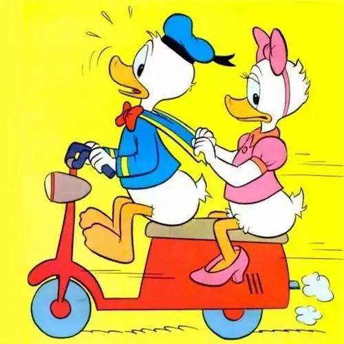 头像唐老鸭头像_黛丝情侣头像_米奇和唐老鸭