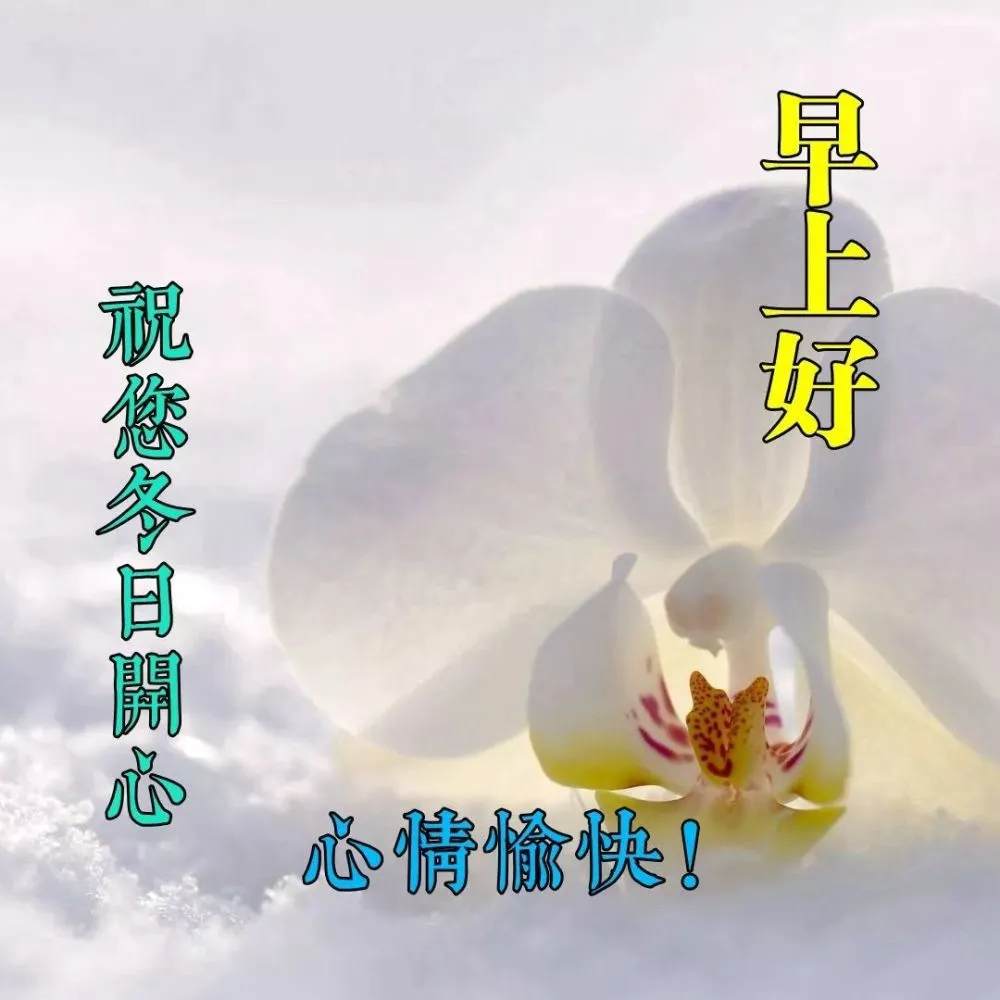 2021年11月27日冬日周六清晨问候大家早上好漂亮动态表情图片早晨好