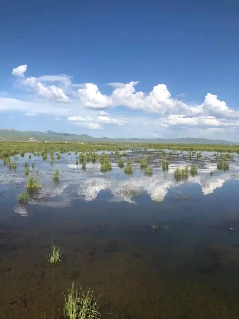 美丽的花湖景区你们去了吗你们拍了吗我们的照片一样吗