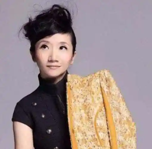 陶晶莹反大陆言论陶晶莹在金马奖上冷落巩俐讽刺内地穷