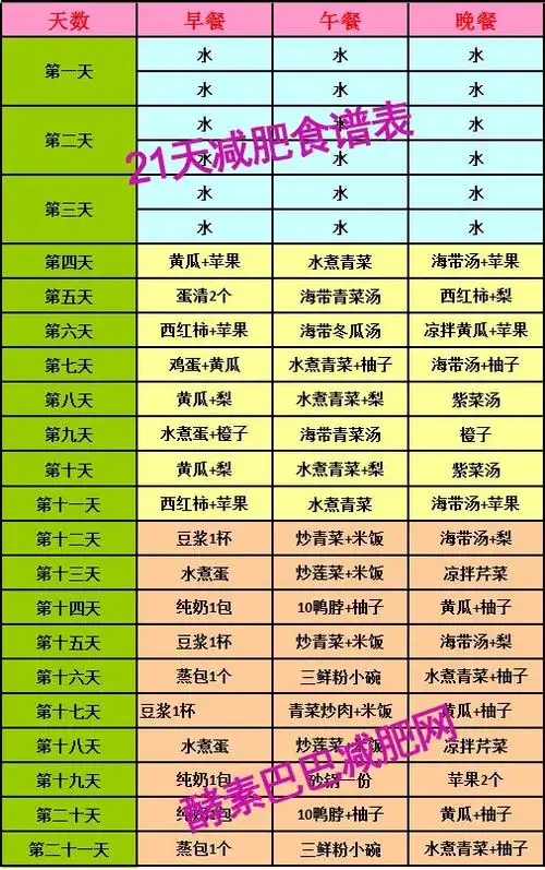 怎样做减肥计划表或减肥计划方案