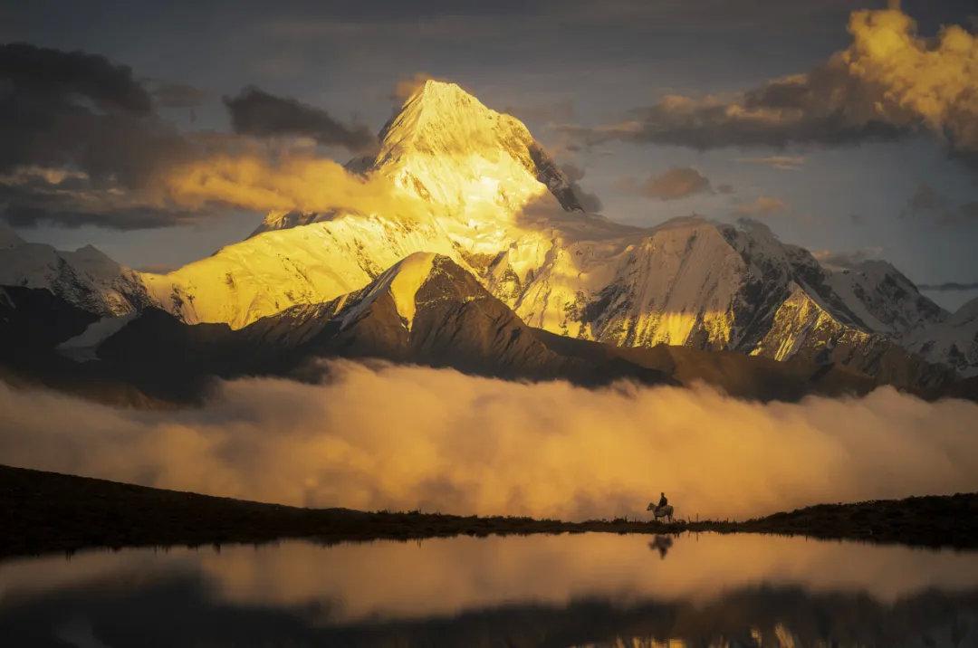 张张精彩这些2021索尼世界摄影大赛获奖作品太强了吧