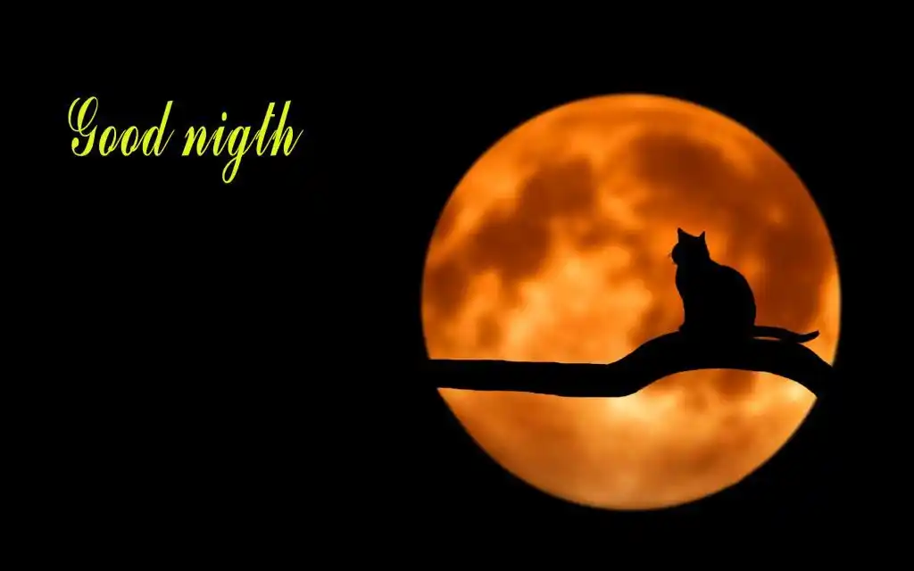 微信朋友圈晚安心语带字图片,高清壁纸图片,矢量图-回车桌面